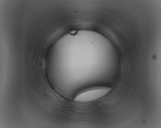 X0000093440077200710120954