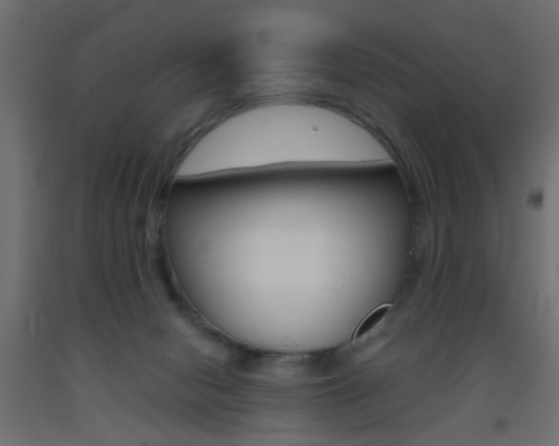 X0000093440078200710120954