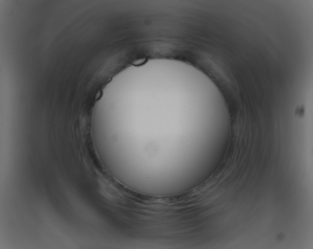 X0000093440079200710120954