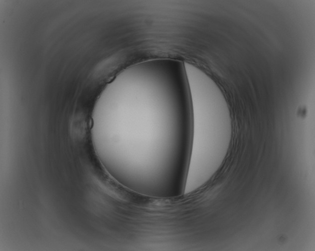X0000093440080200710120954
