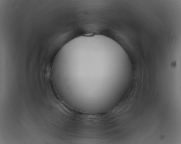 X0000093440081200710120954