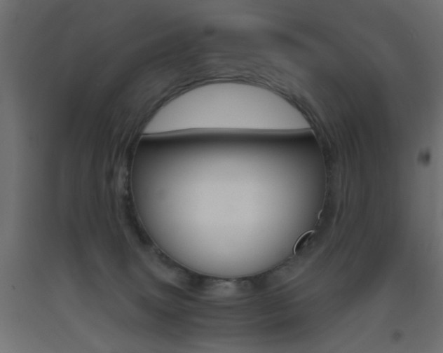 X0000093440083200710120954