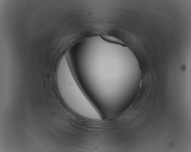 X0000093440084200710120954
