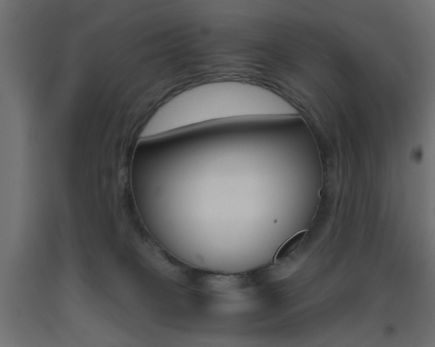X0000093440085200710120954