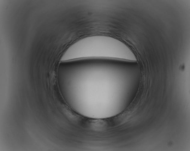 X0000093440087200710120954