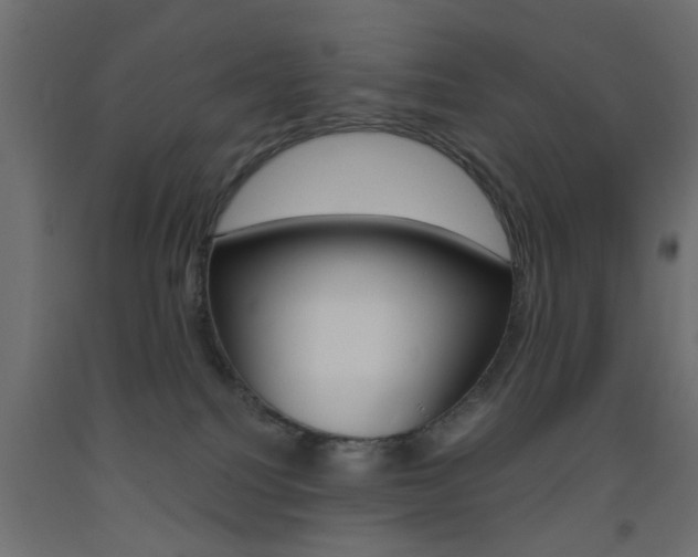 X0000093440088200710120954