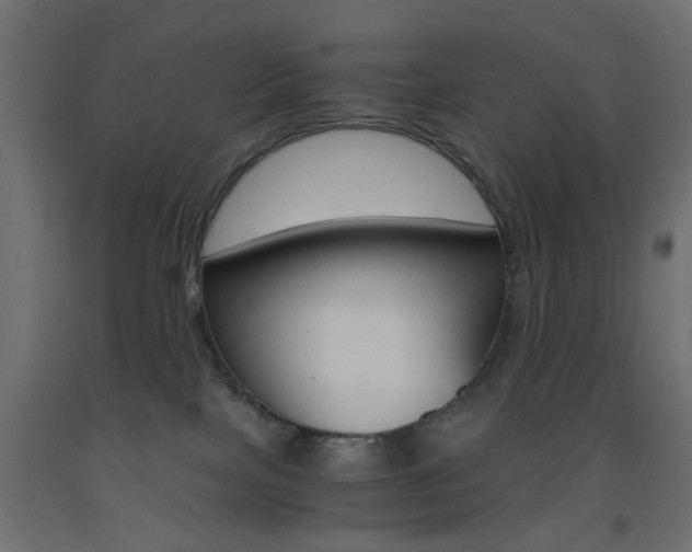 X0000093440089200710120954