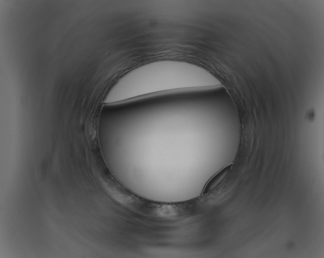 X0000093440091200710120954
