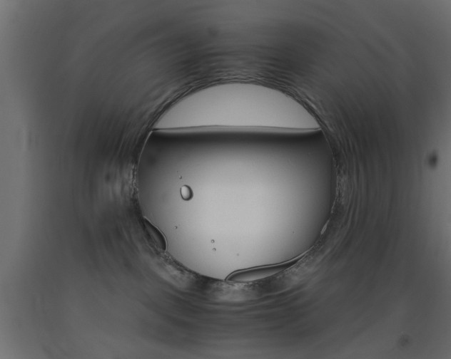 X0000093440093200710120954