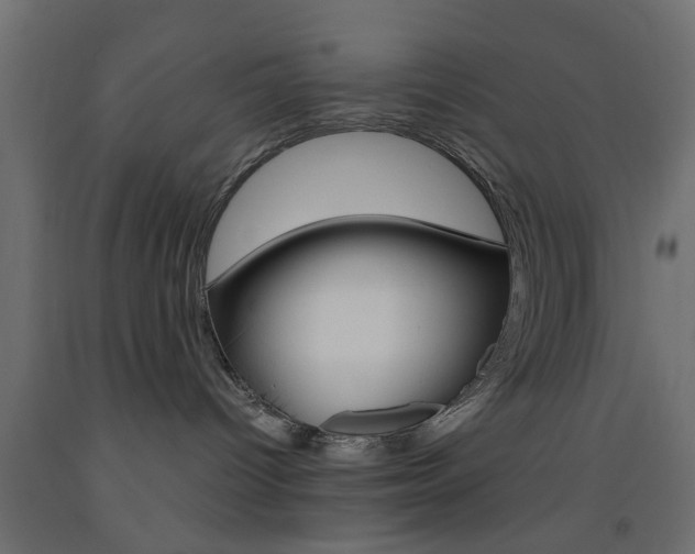 X0000093440096200710120954