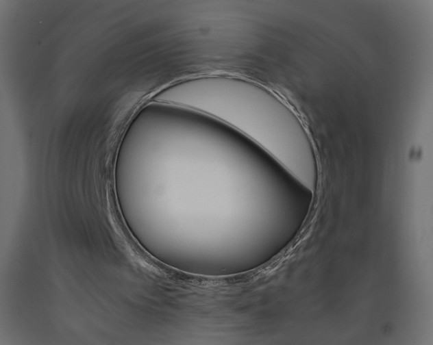 X0000093440097200710120953