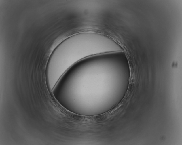 X0000093440099200710120953
