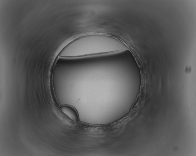 X0000093440100200710120953