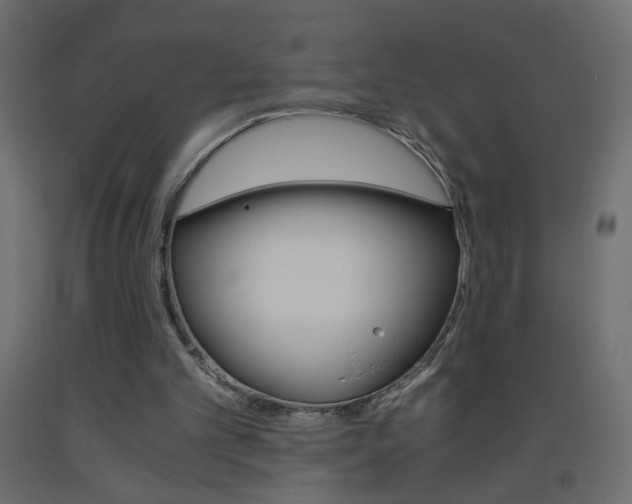 X0000093440101200710120953