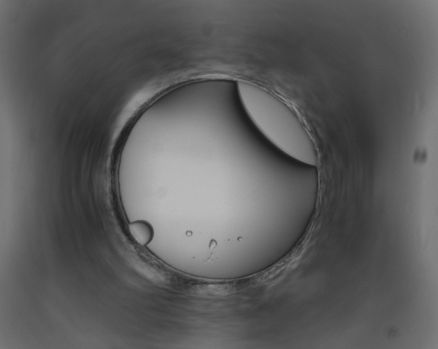X0000093440102200710120953