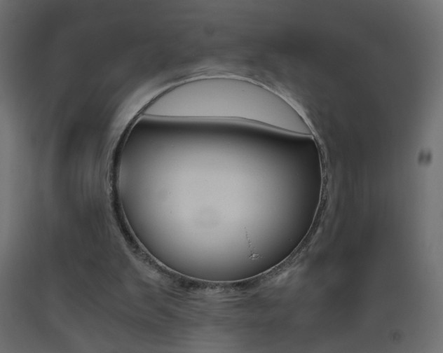 X0000093440103200710120953