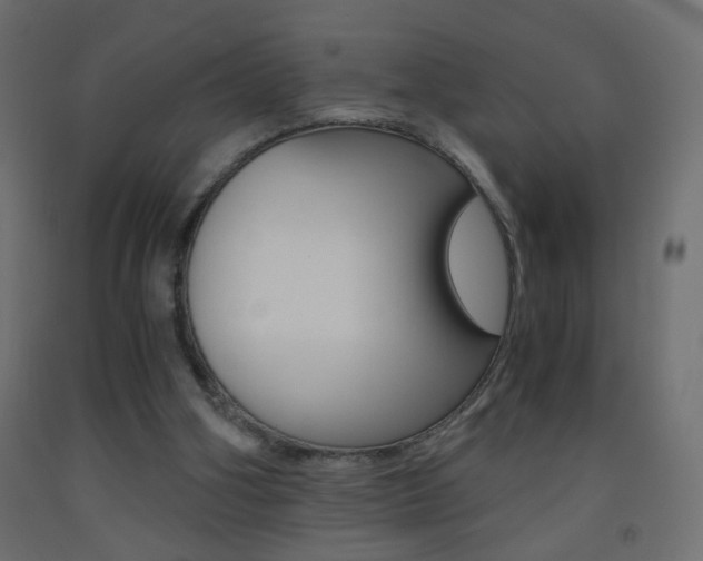 X0000093440106200710120953