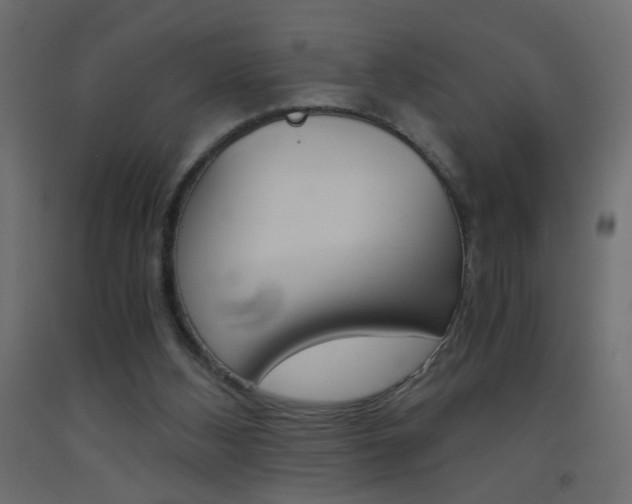 X0000093440108200710120953