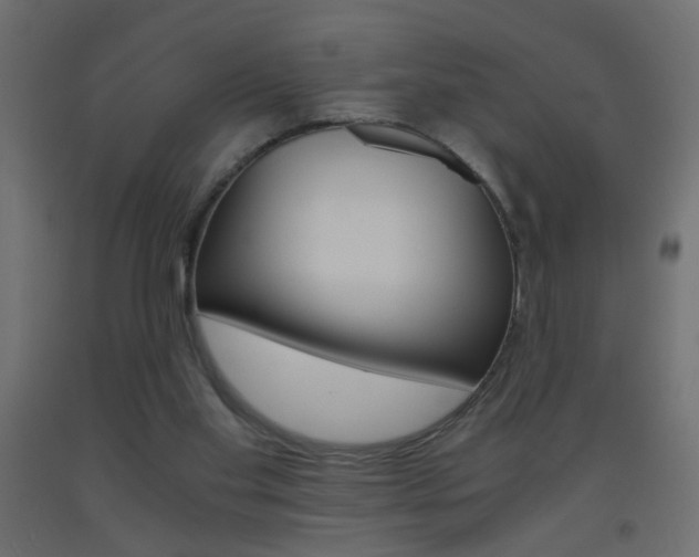 X0000093440109200710120953