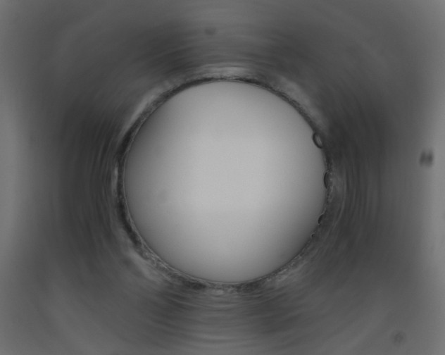 X0000093440110200710120953