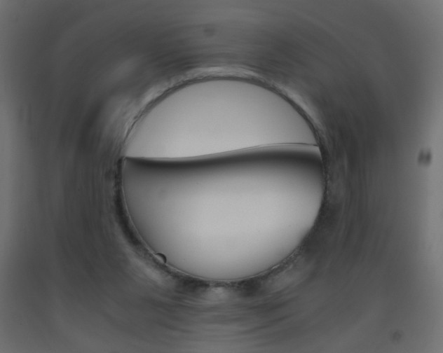 X0000093440111200710120953