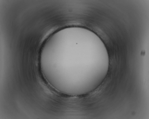 X0000093440112200710120953