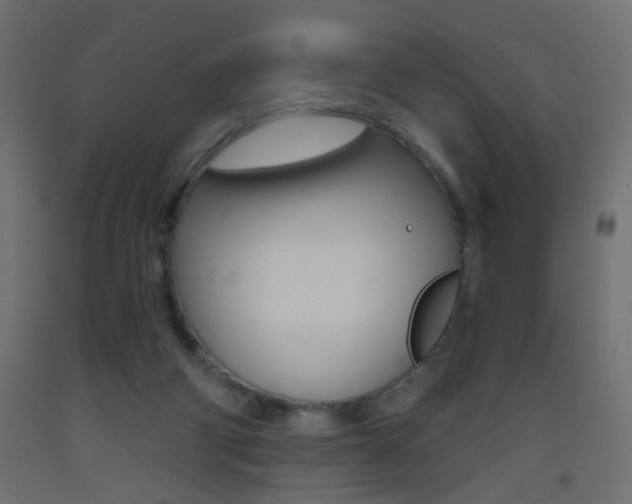 X0000093440114200710120953