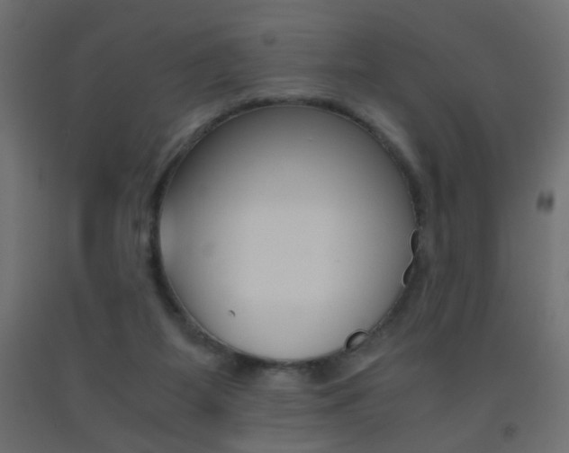 X0000093440115200710120953