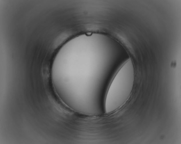 X0000093440116200710120953
