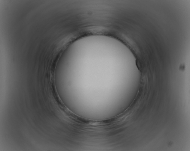 X0000093440117200710120953