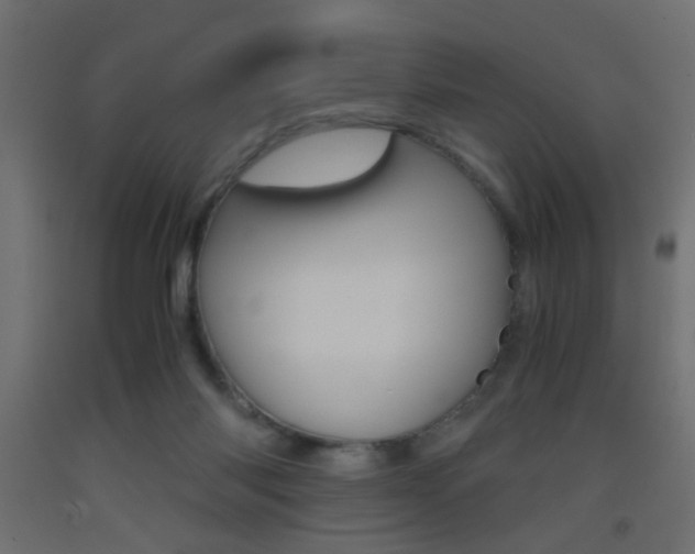 X0000093440118200710120953