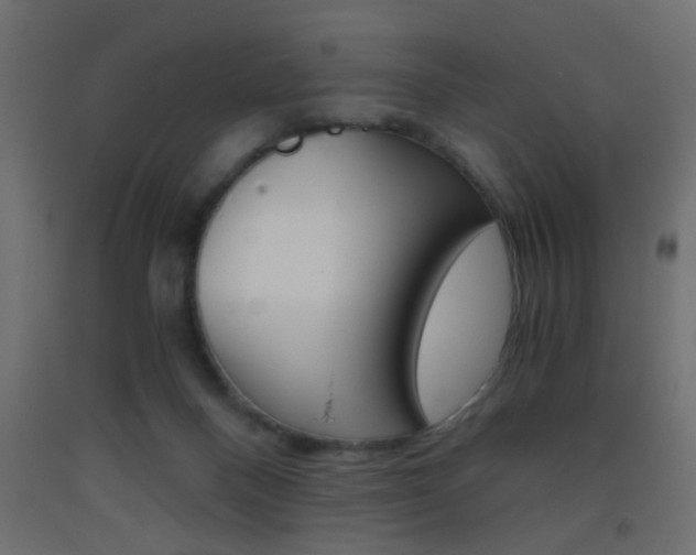 X0000093440120200710120953