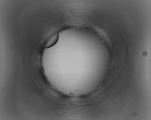 X0000093440121200710120953