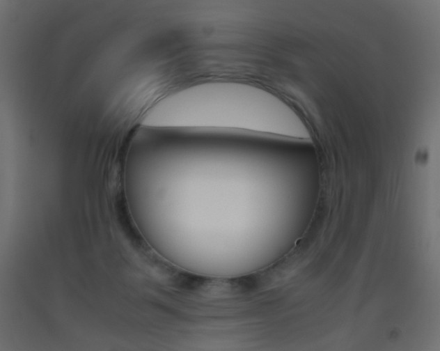 X0000093440123200710120953