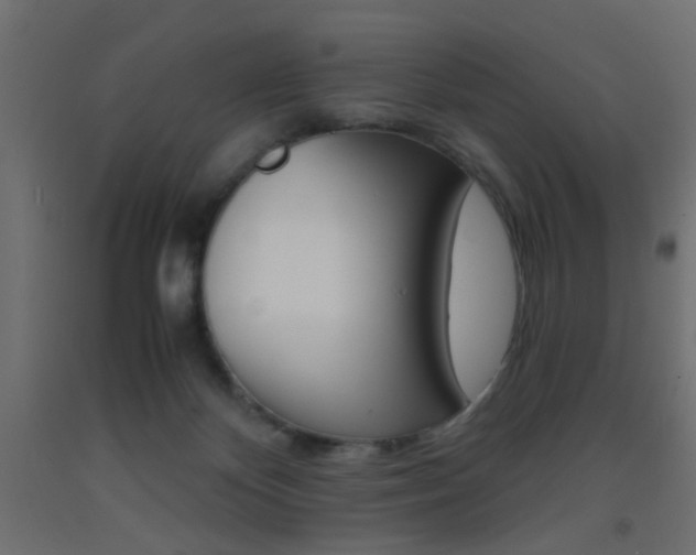 X0000093440124200710120953