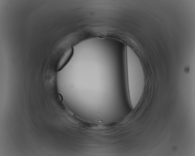 X0000093440125200710120953