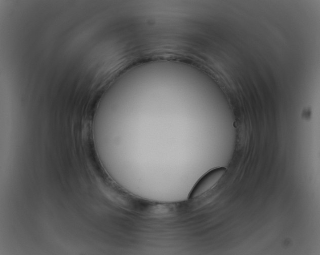 X0000093440126200710120953