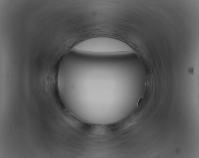 X0000093440127200710120953