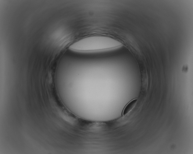 X0000093440128200710120953