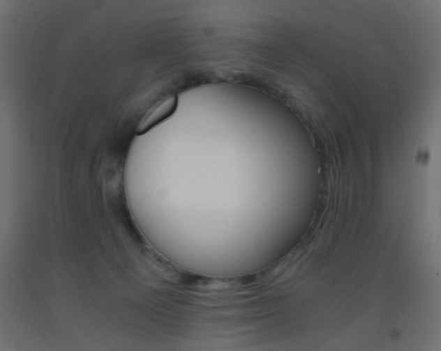 X0000093440129200710120953