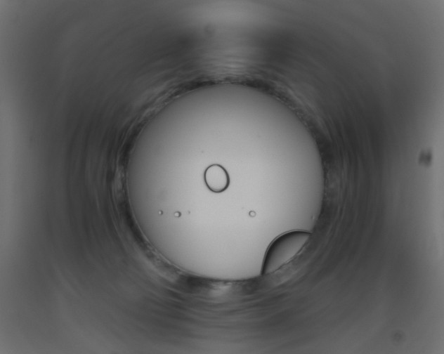 X0000093440130200710120953