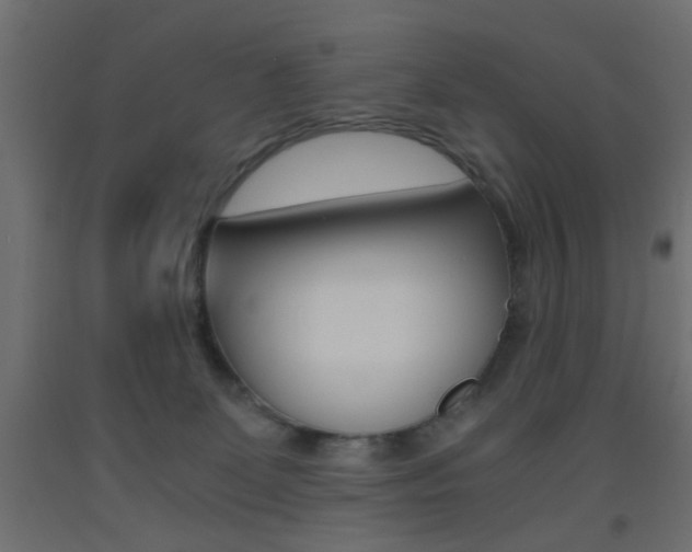 X0000093440131200710120953