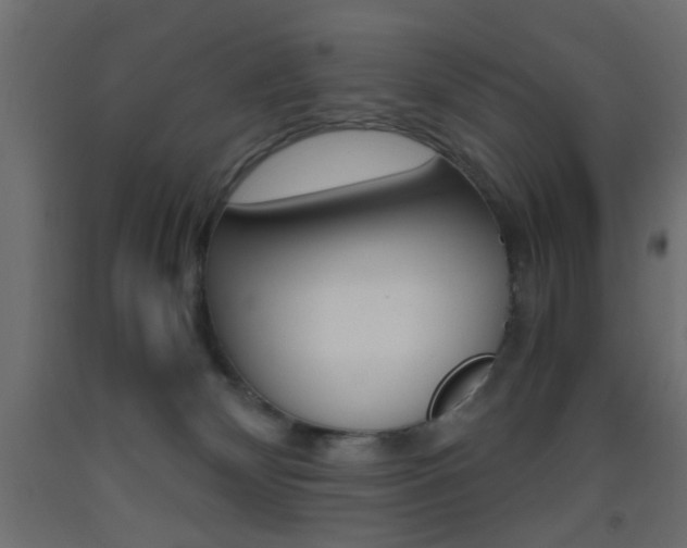 X0000093440132200710120953
