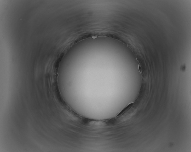X0000093440133200710120953