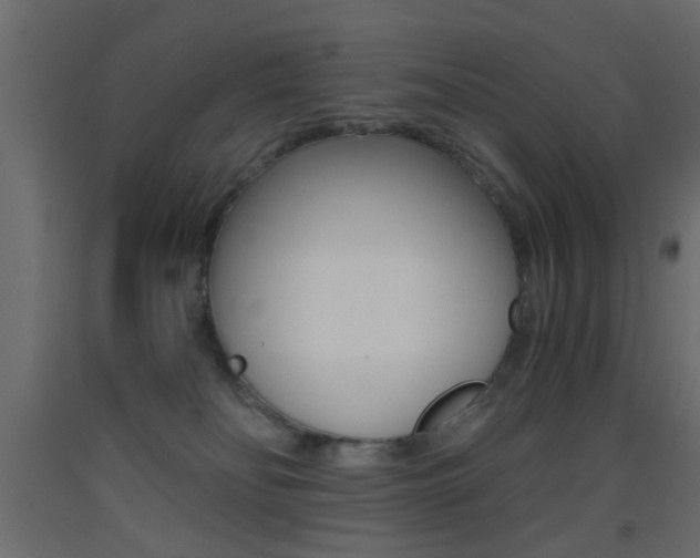 X0000093440134200710120953