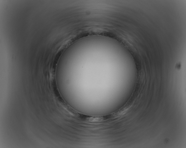 X0000093440135200710120953