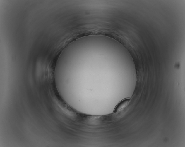 X0000093440136200710120953