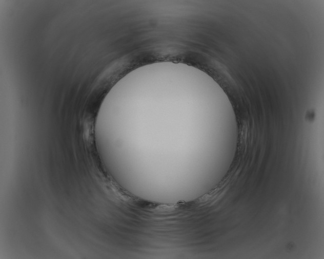 X0000093440138200710120953