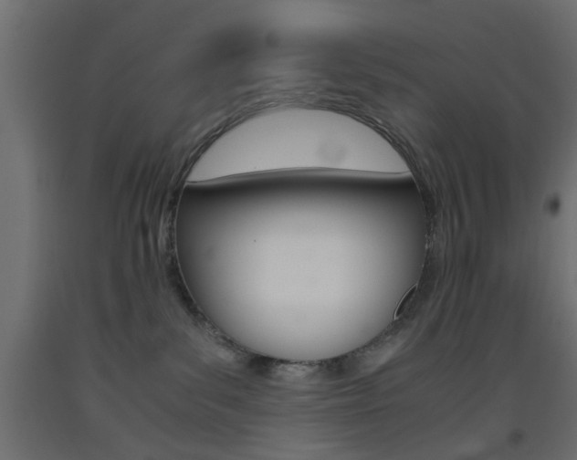 X0000093440139200710120953
