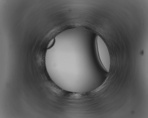 X0000093440140200710120953